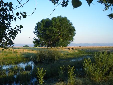 La laguna del terreno